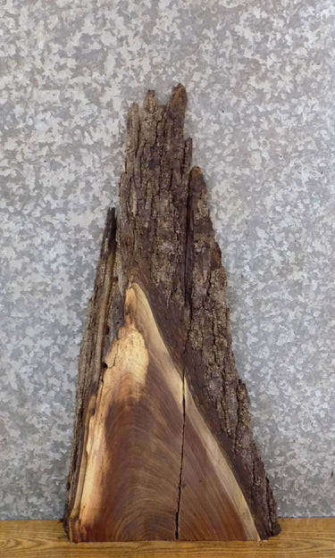 2- Rustic Live Edge Black Walnut Split Board Slab Halves 1839